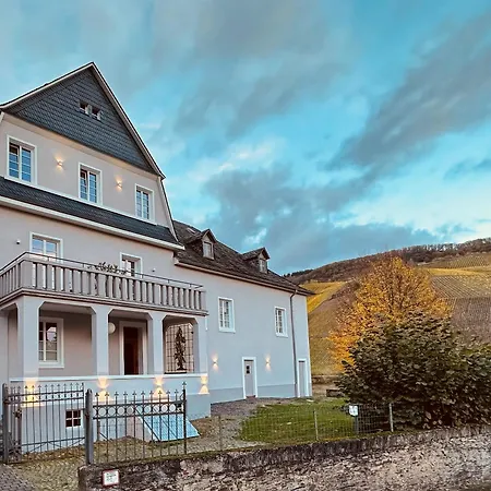 Gut Foersterlay - Exklusive Boutique Apartments Im Historischen Winzerhaus Direkt An Der Mosel Lösnich Exterior foto