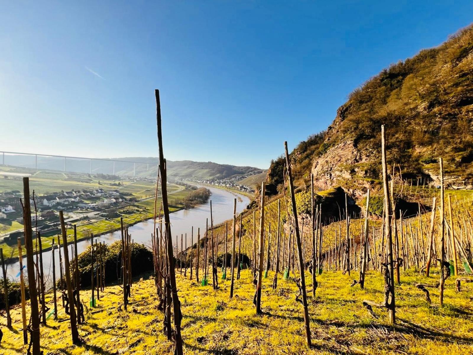 Apartment Gut Foersterlay - Exklusive Boutique Im Historischen Winzerhaus Direkt An Der Mosel *