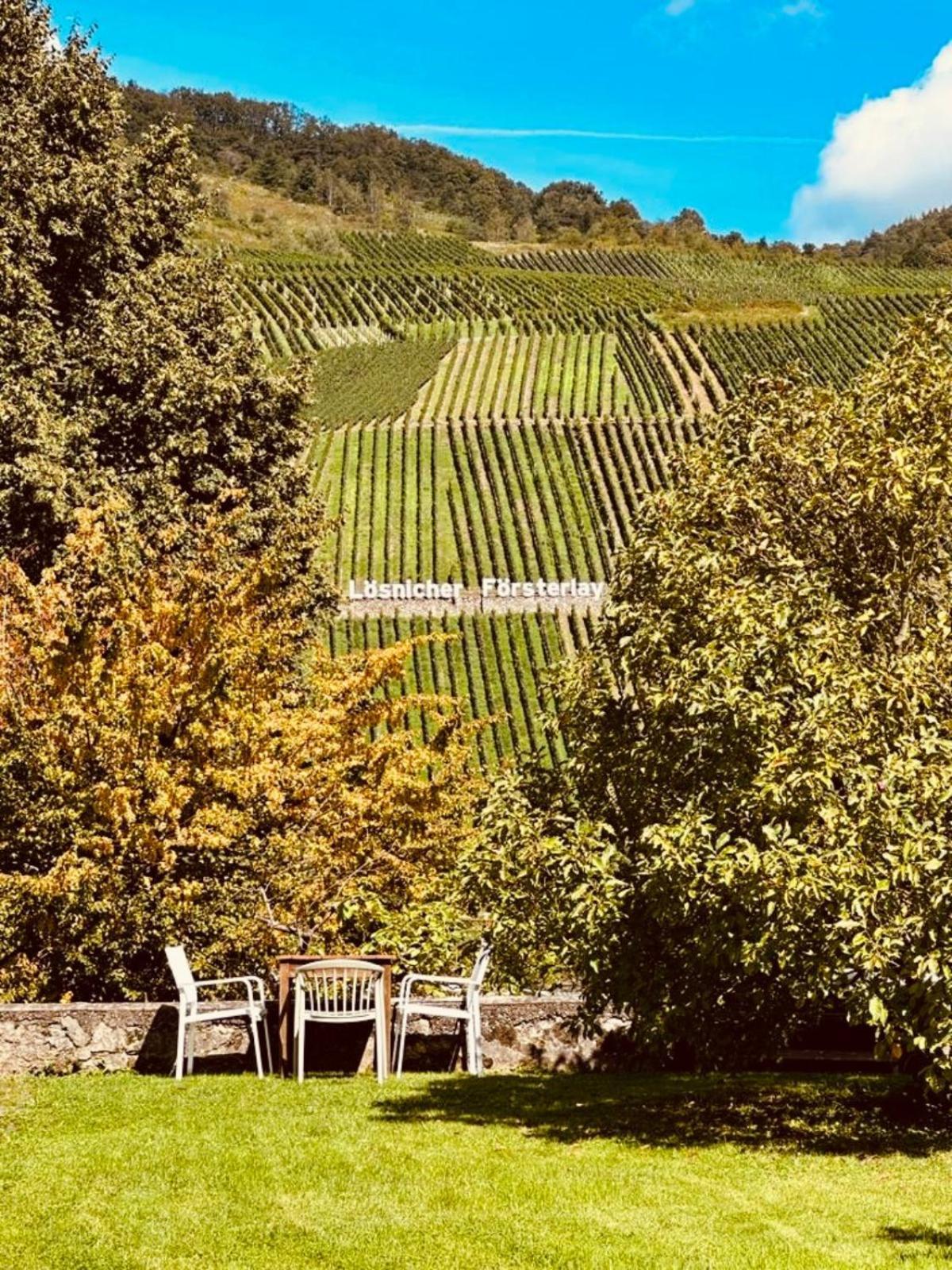 Apartment Gut Foersterlay - Exklusive Boutique Im Historischen Winzerhaus Direkt An Der Mosel